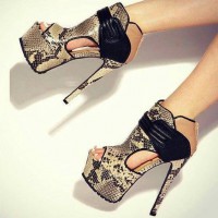 /album/fotos-de-zapatos-/a10376262-946037642078871-9087666870990282015-n-jpg/